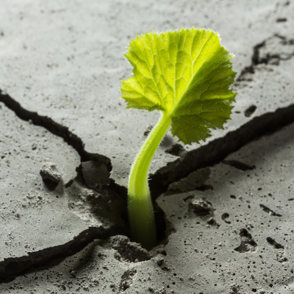 The Top ten methods (69)